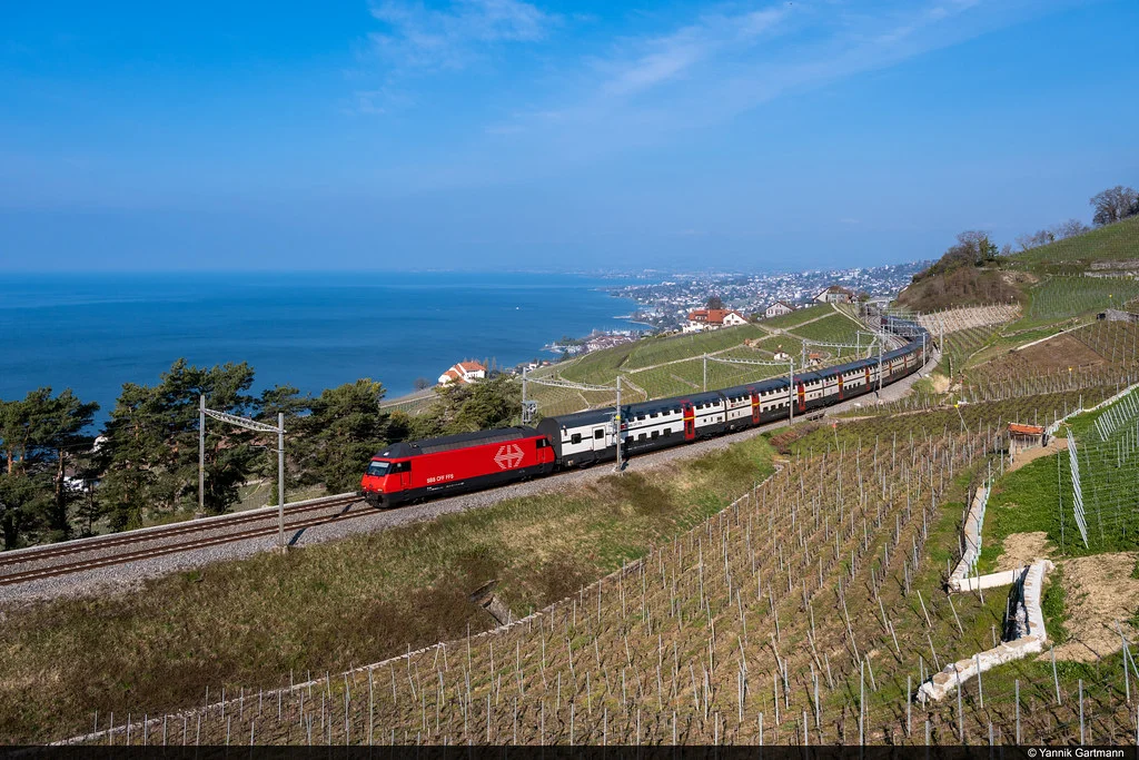 Zwei SBB Re 460 bei Grandvaux am Genfersee
